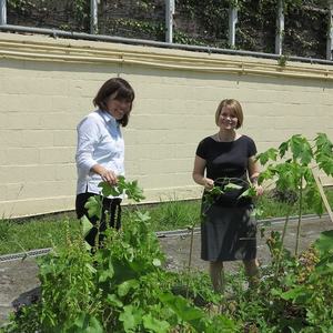Anzeige · Gartengrundstück zu verpachten