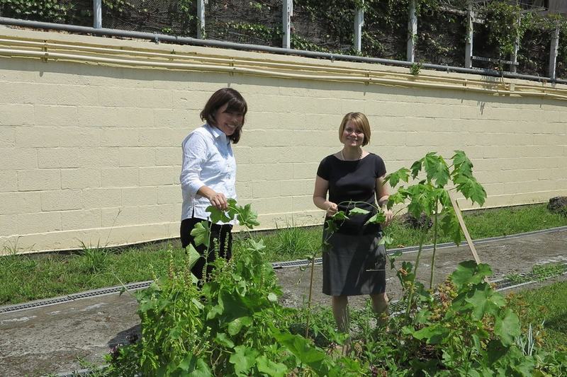 Anzeige · Gartengrundstück zu verpachten