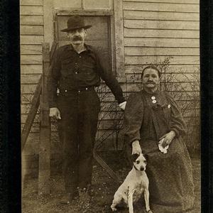 Anzeige · Hundebetreuung