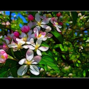 Galerie · Frühling in den Gärten