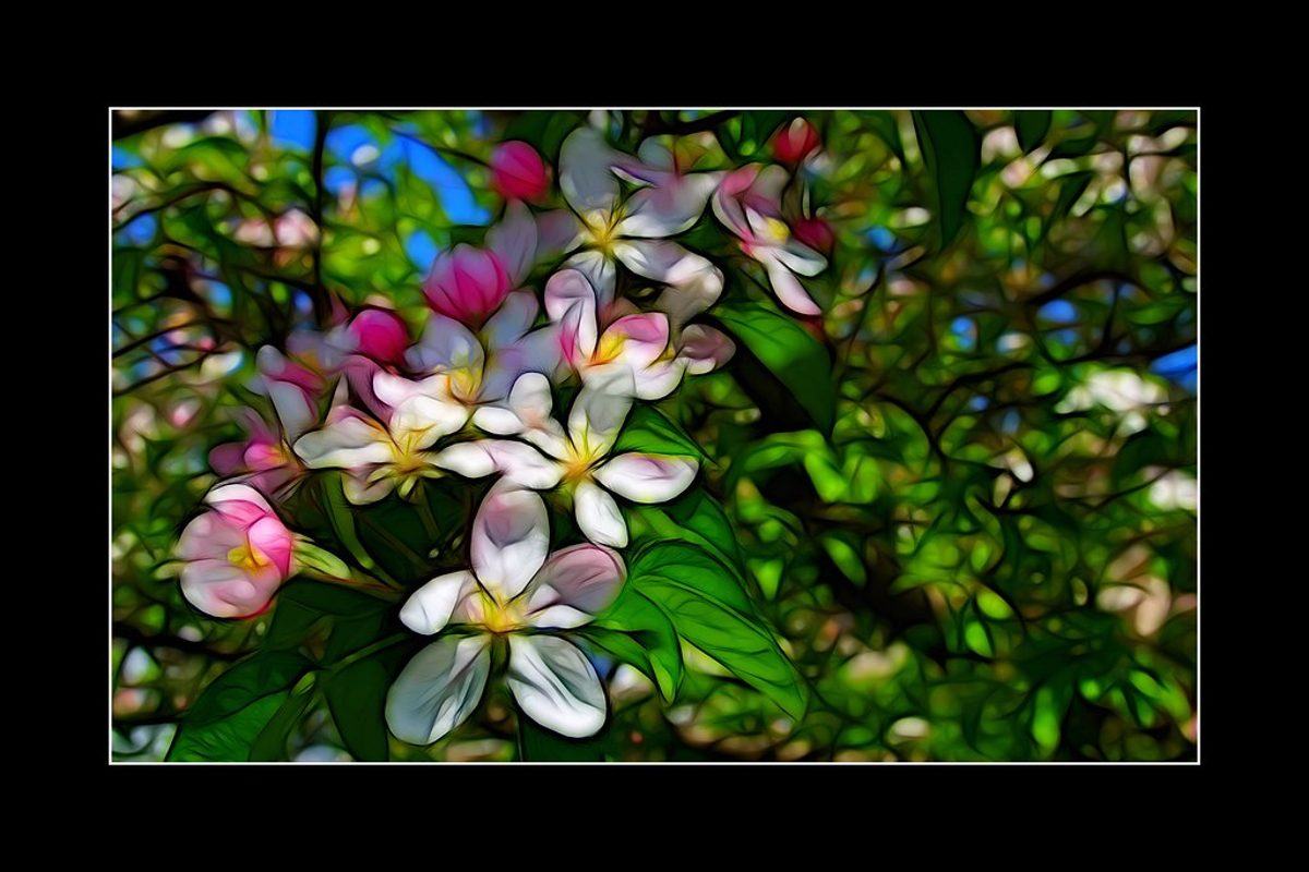 Galerie · Frühling in den Gärten