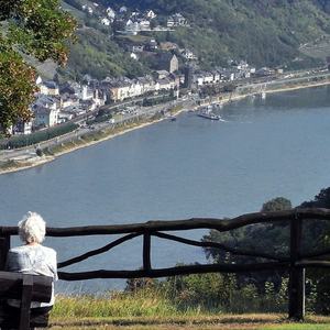 Galerie · Rheinufer im Morgennebel