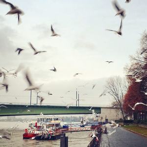 Galerie · Sonnenuntergang am Rhein