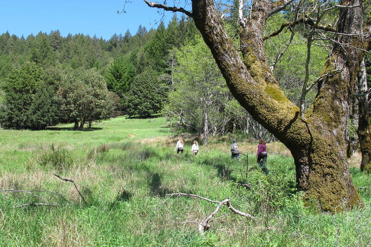 Galerie · Streuobstwiese