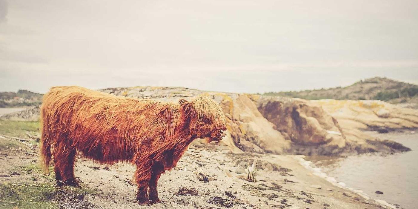 Jugendmannschaft qualifiziert sich für Bezirksliga