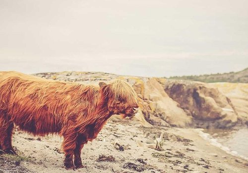 Jugendmannschaft qualifiziert sich für Bezirksliga