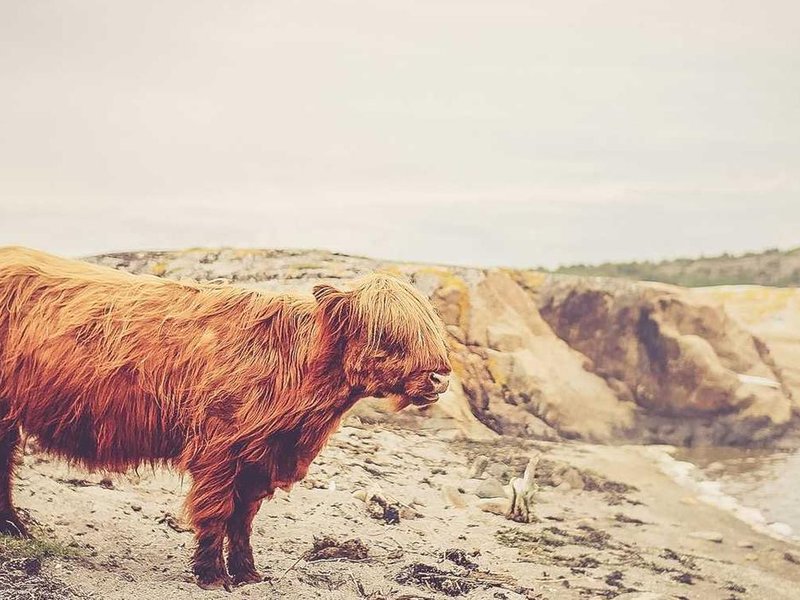 Jugendmannschaft qualifiziert sich für Bezirksliga