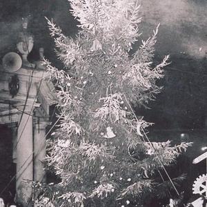 News · Karnevalsverein präsentiert neues Motto