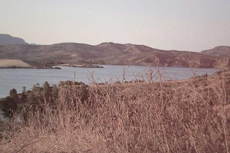 Warnung vor Starkregen am Mittwoch - Overview